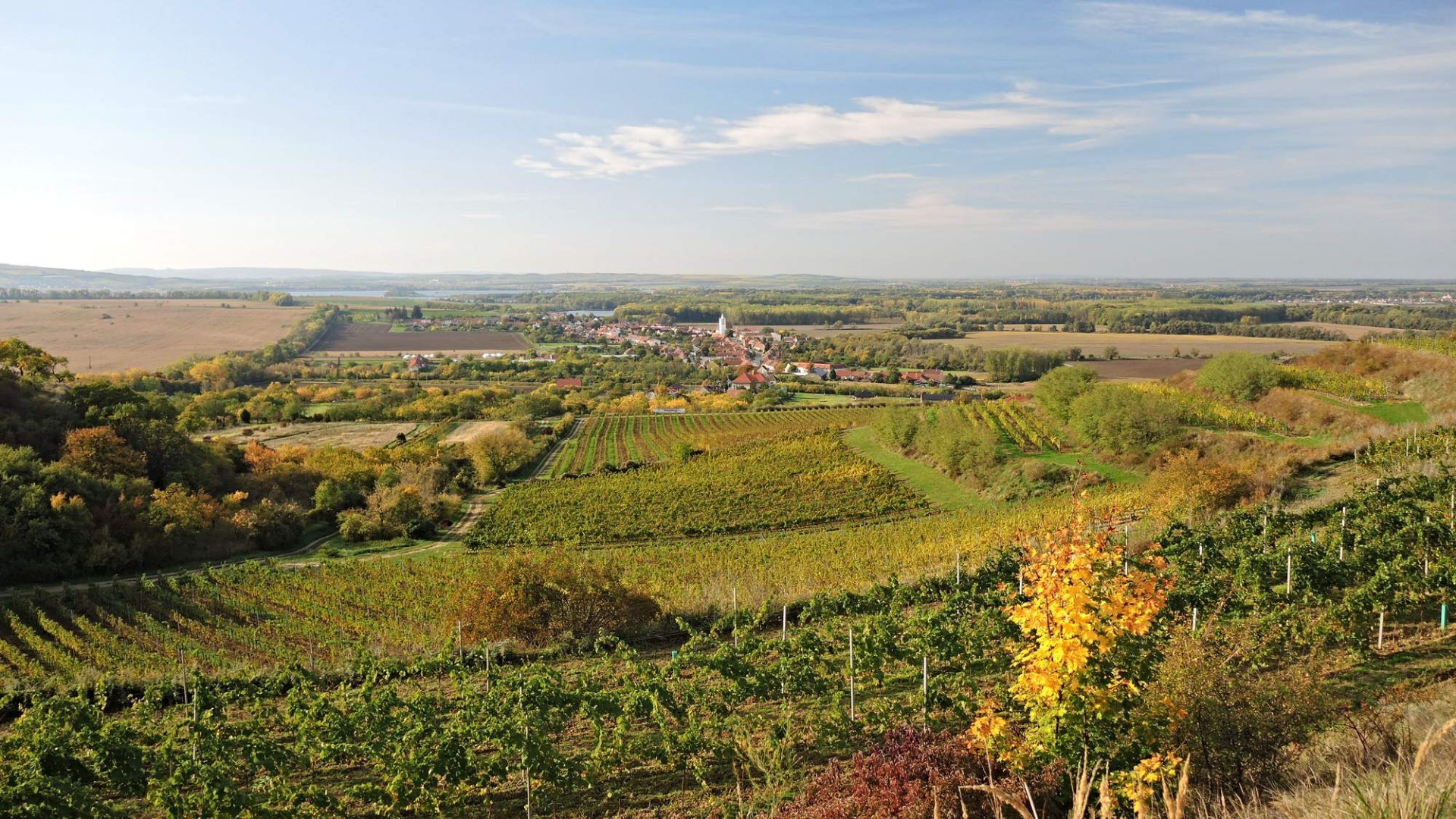 Dyjsko - Svratecký a Hornomoravský úval